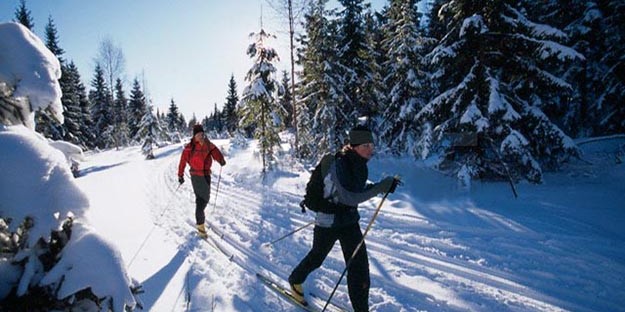 Skiers on Trail