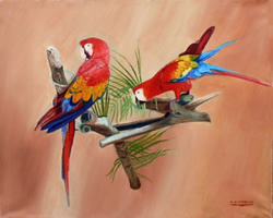 bird pair