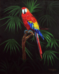 colorful parrot